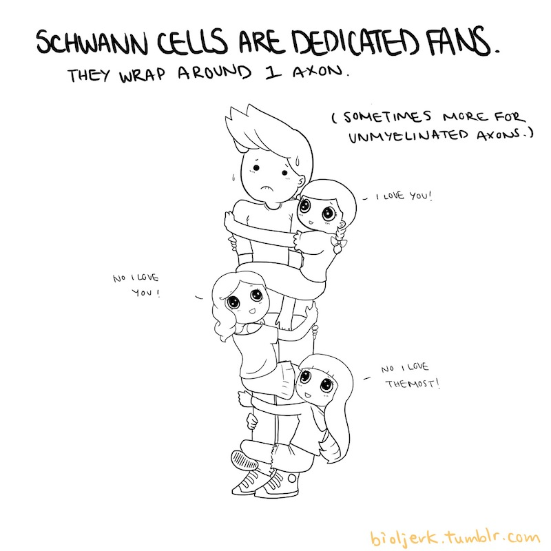 Illustration for article titled Learn the basics of cell biology with these adorable science comics